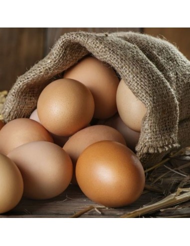 Organic Eggs Large 6eggs